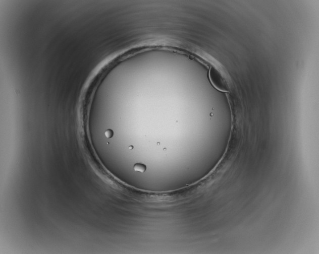 X0000114201120200910161219