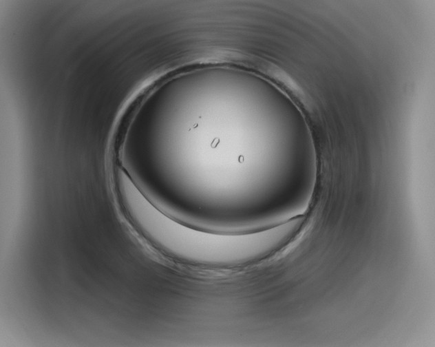 X0000114201122200910161219