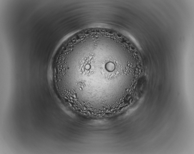 X0000114201125200910161219