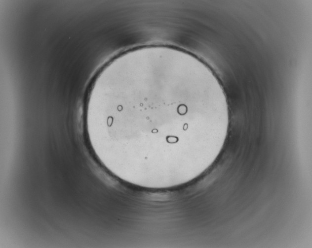 X0000114201126200910161219