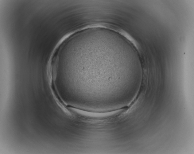 X0000114201127200910161219