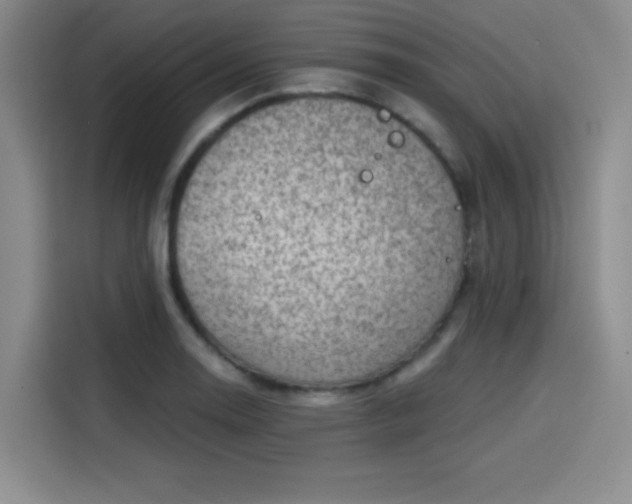 X0000114201130200910161219