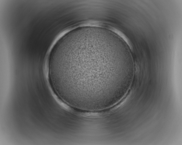 X0000114201131200910161219