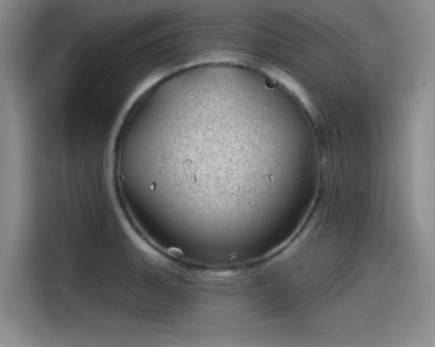 X0000114201135200910161219