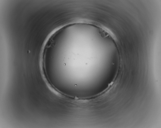 X0000114201136200910161219