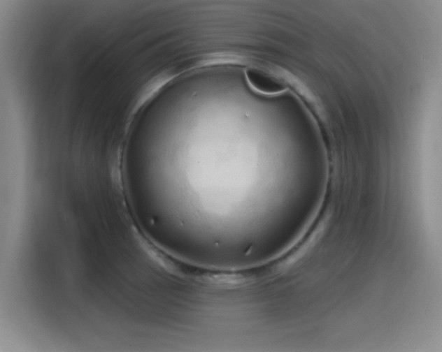 X0000114201137200910161219