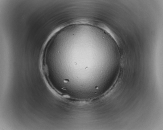 X0000114201139200910161219