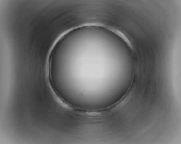 X0000114201140200910161219