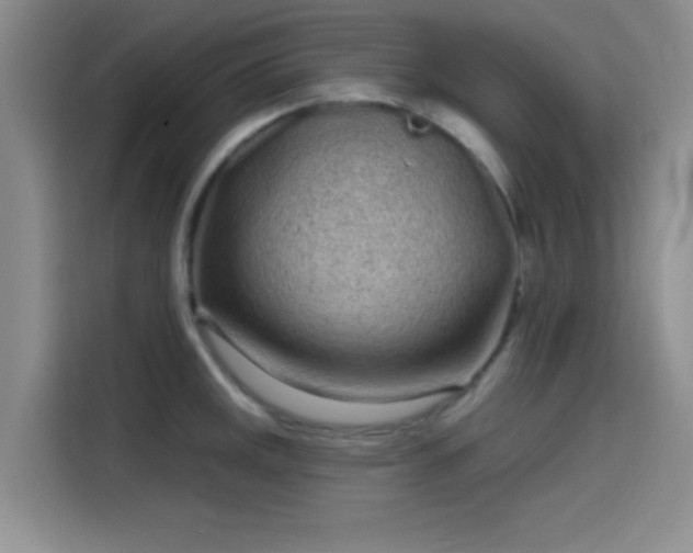 X0000114201141200910161219