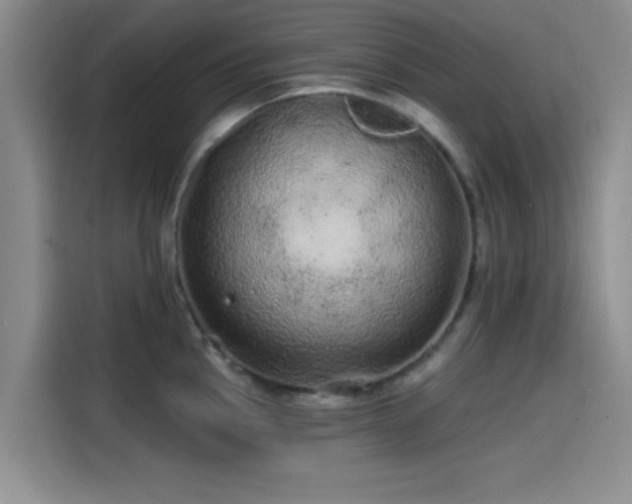 X0000114201145200910161220