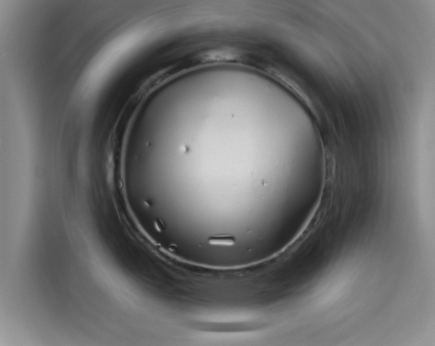 X0000114201151200910161220