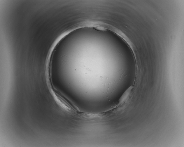 X0000114201152200910161220