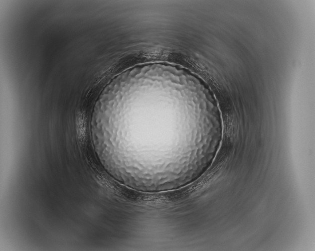 X0000114201154200910161219