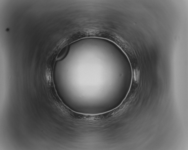 X0000114201155200910161219