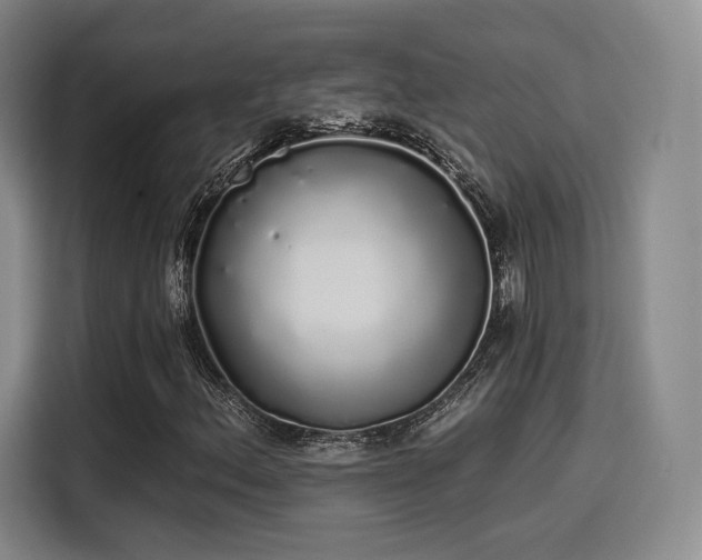 X0000114201156200910161219