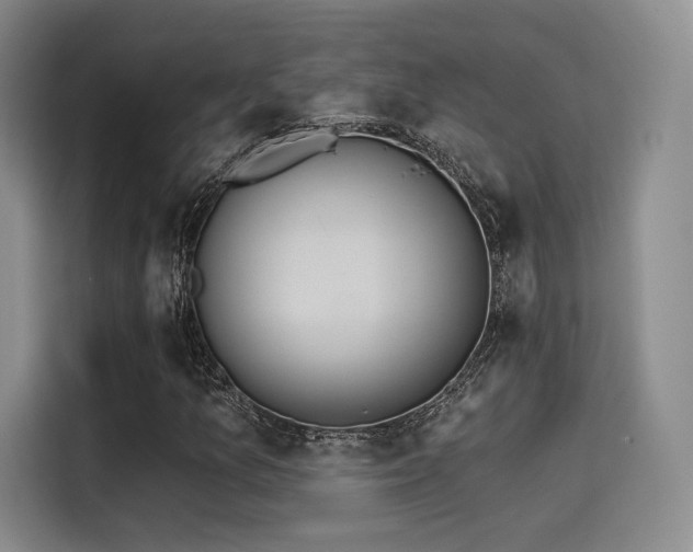 X0000114201157200910161219