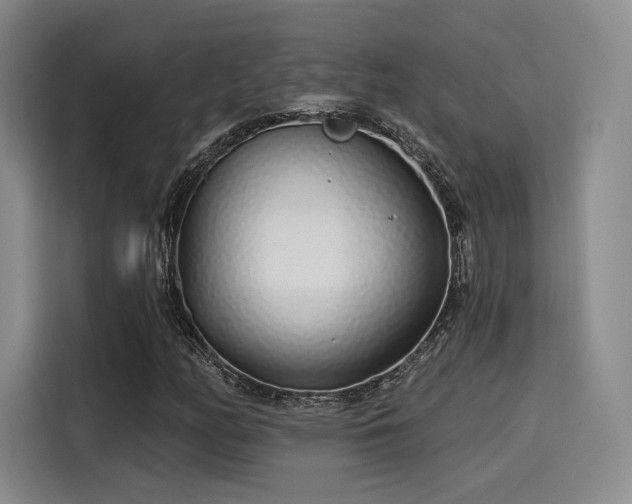 X0000114201158200910161219