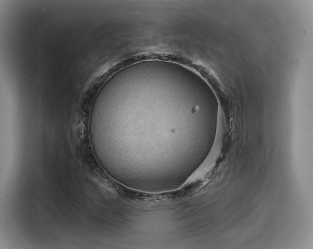 X0000114201159200910161219