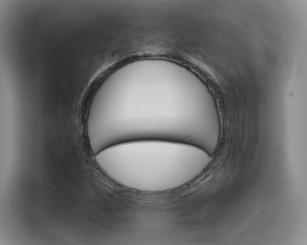 X0000114201160200910161219