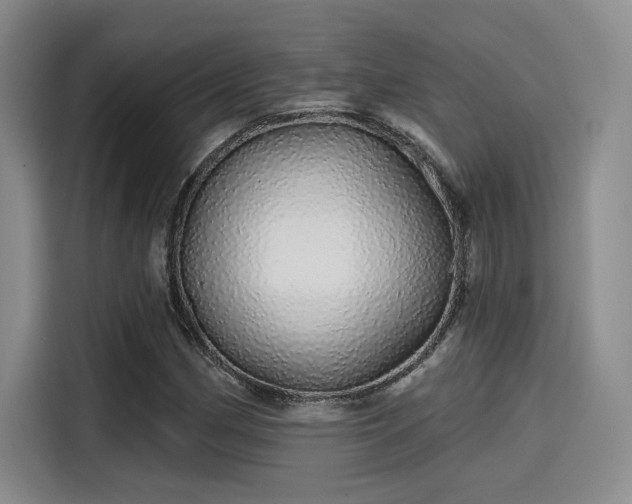 X0000114201162200910161219