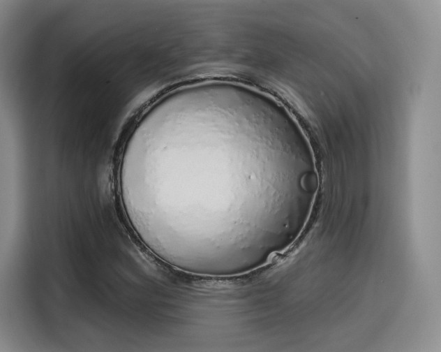 X0000114201164200910161219