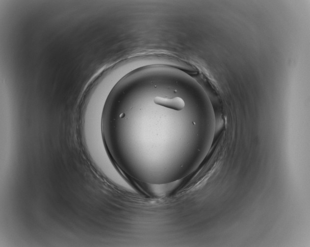 X0000114201165200910161219