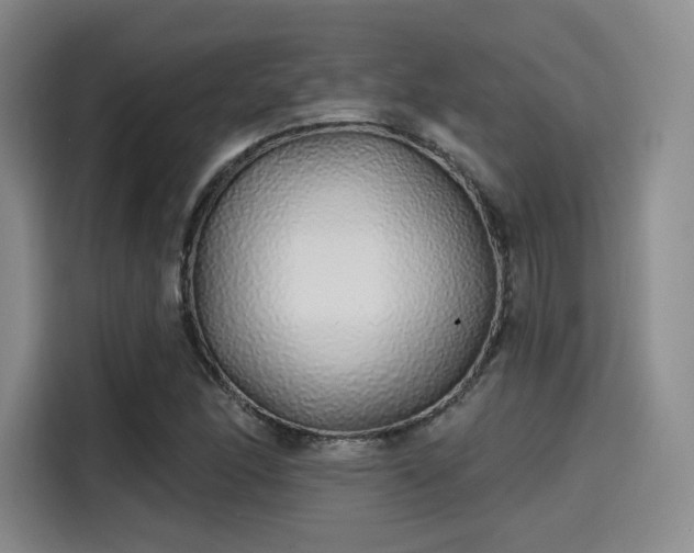 X0000114201166200910161219