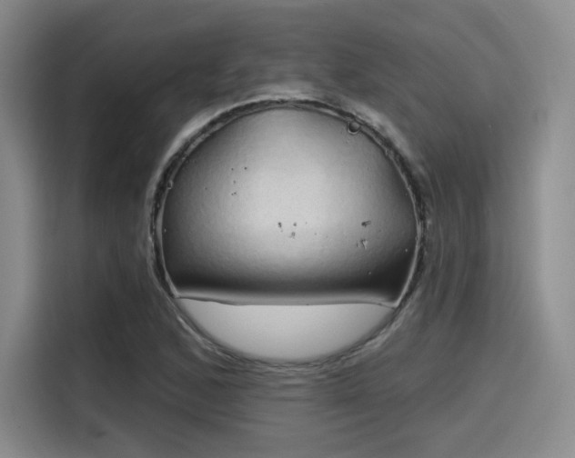 X0000114201168200910161219