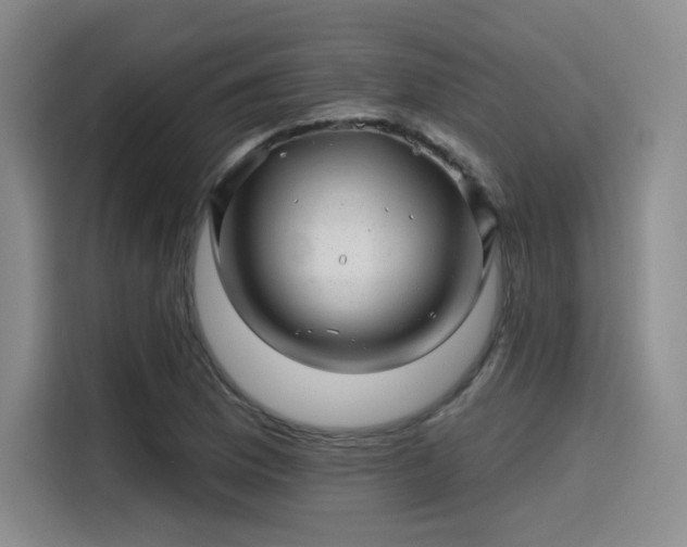 X0000114201169200910161219