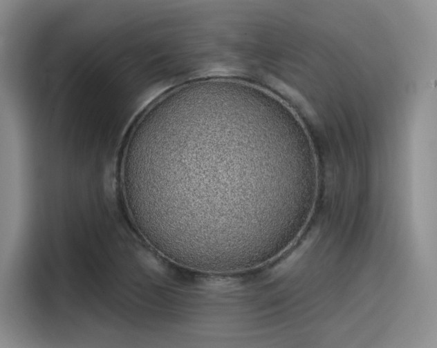 X0000114201170200910161219