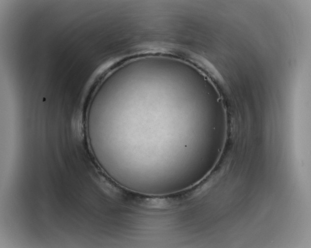 X0000114201172200910161219