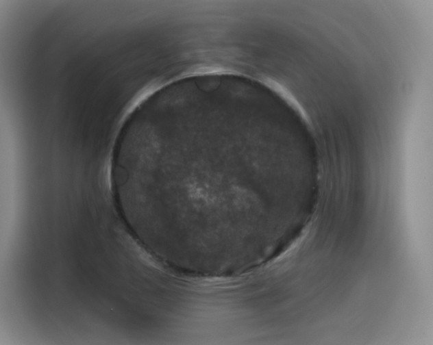 X0000114201173200910161219