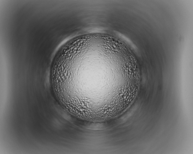 X0000114201174200910161219