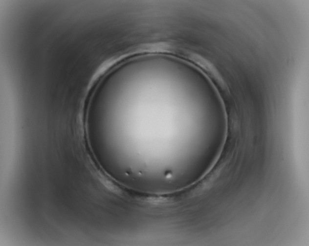 X0000114201176200910161219