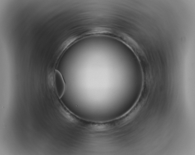 X0000114201177200910161219