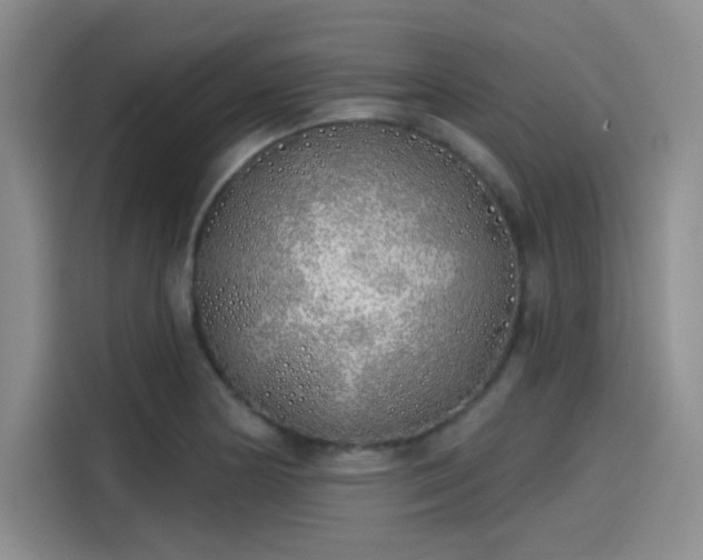 X0000114201178200910161219