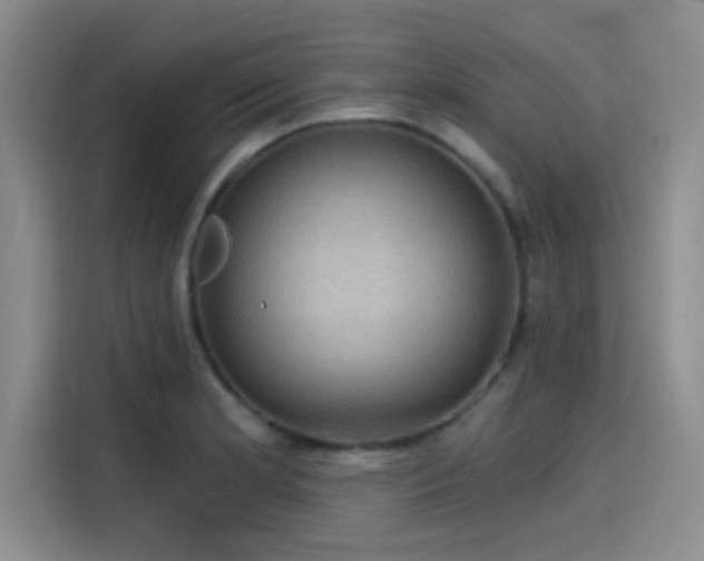 X0000114201181200910161219