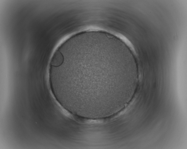 X0000114201183200910161219