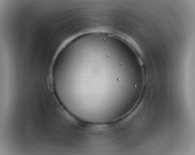 X0000114201184200910161219