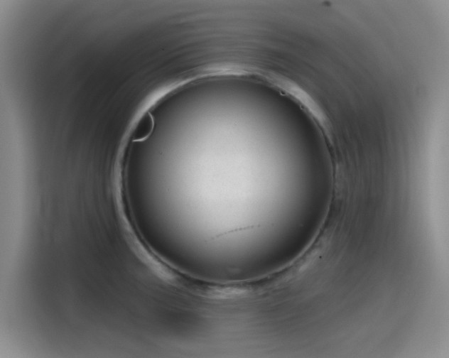 X0000114201187200910161219