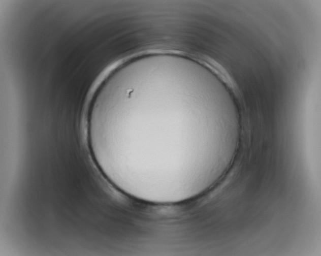 X0000114201188200910161219