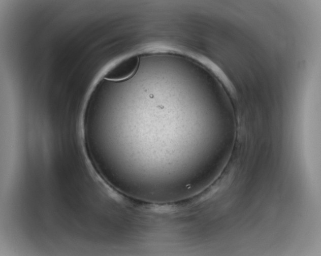 X0000114201191200910161218