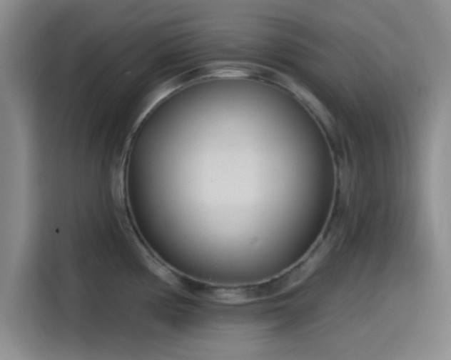 X0000114201194200910161218