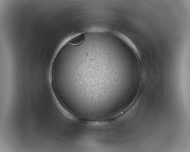 X0000114201195200910161218