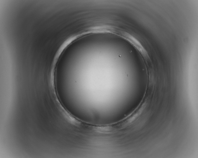 X0000114201196200910161218