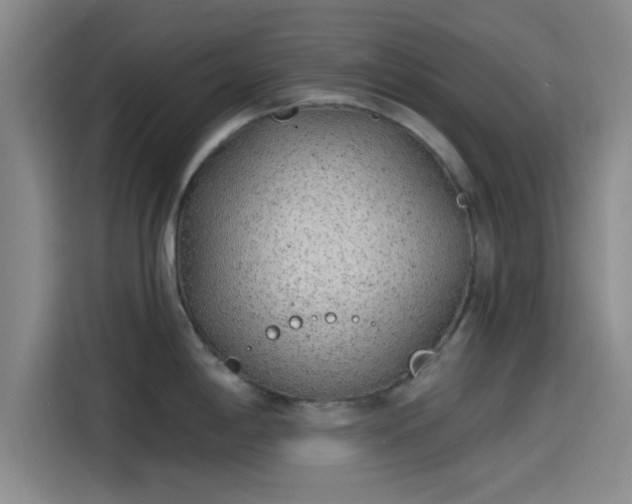 X0000114201198200910161218