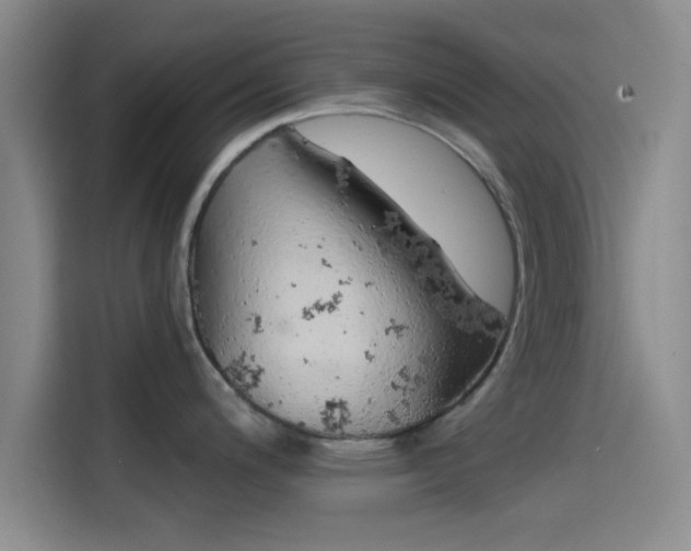 X0000114201200200910161218