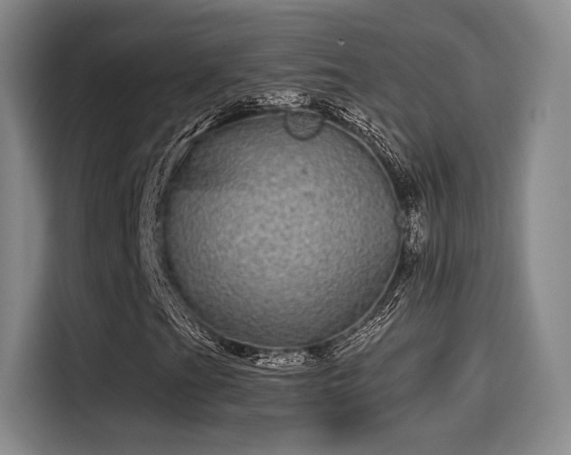 X0000114201201200910161218