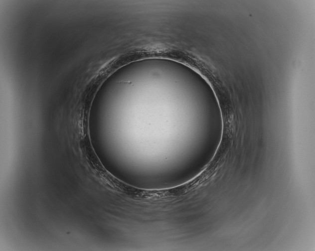 X0000114201205200910161218