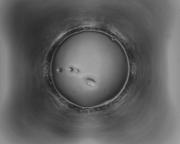 X0000114201208200910161218